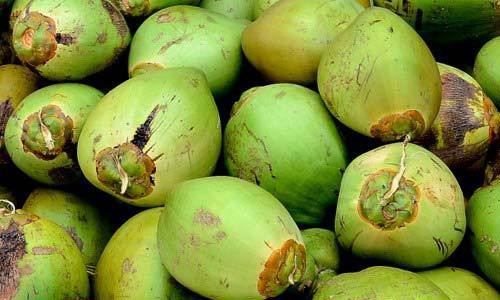 Fresh Organic Fruits